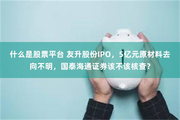 什么是股票平台 友升股份IPO，5亿元原材料去向不明，国泰海通证券该不该核查？