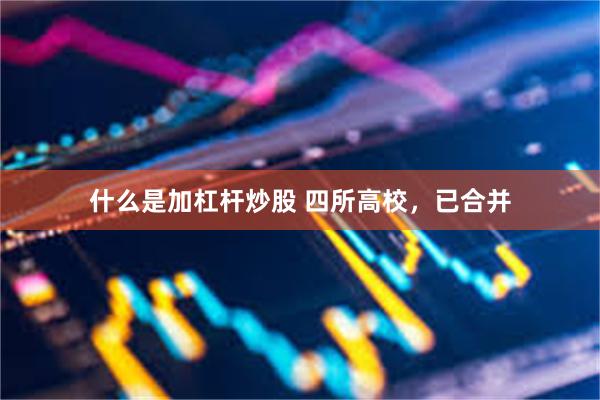 什么是加杠杆炒股 四所高校，已合并